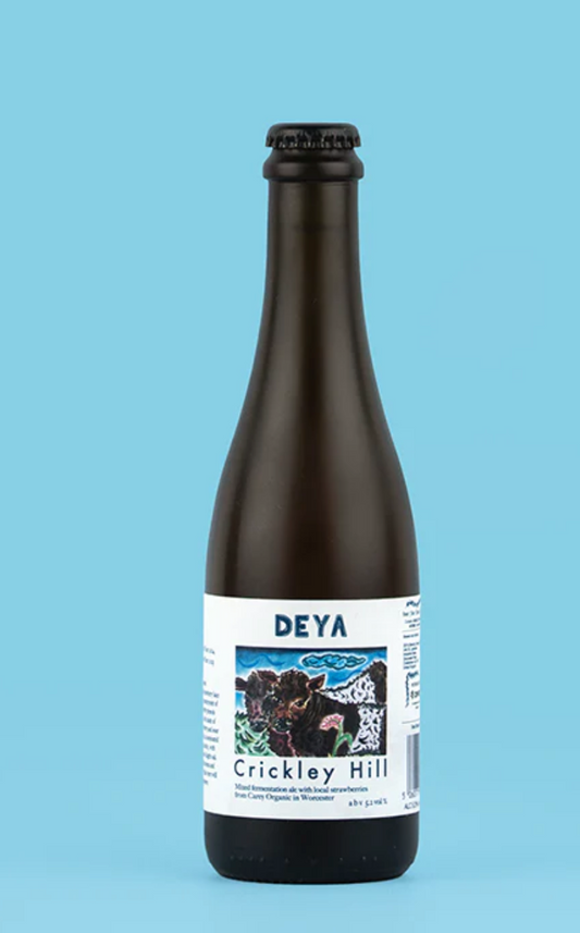Crickley Hill V2024 Bottle - Deya 5.2%
